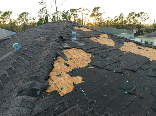 Best Commercial Roofing Services  in Roscoe, IL